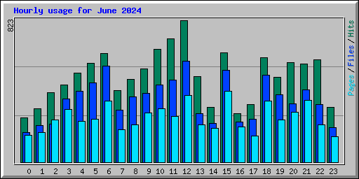 Hourly usage for June 2024