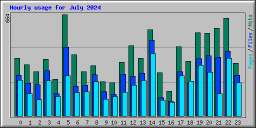 Hourly usage for July 2024