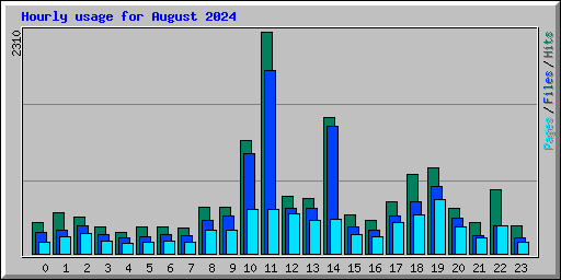 Hourly usage for August 2024