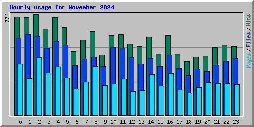 Hourly usage for November 2024